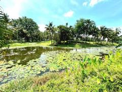 ขาย/ ให้เช่าบ้านหรูใกล้สนามกอล์ฟกรีนวัลเล่ย์ อำเภอแม่ริม เชียงใหม่-202406280754201719536060352.jpg