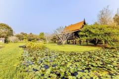 ขายบ้านเรือนไทย 24.5 ไร่ สระว่ายน้ำส่วนตัว มองเห็นวิวภูเขารอบด้าน ดอยสะเก็ด เชียงใหม่-202406300247391719690459184.jpg