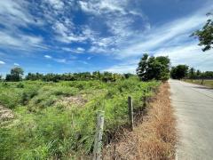 ขายที่ดินเปล่า เนื้อที่ 4-1-60 ไร่ ต.ขุนศรี อ.ไทรน้อย จ.นนทบุรี-202407031439001719992340892.jpeg