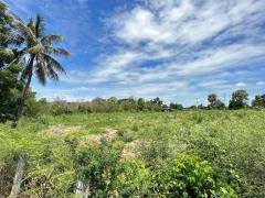 ขายที่ดินเปล่า เนื้อที่ 4-1-60 ไร่ ต.ขุนศรี อ.ไทรน้อย จ.นนทบุรี-202407031439011719992341575.jpeg