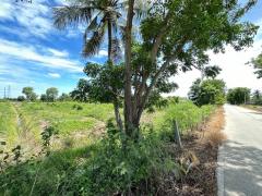 ขายที่ดินเปล่า เนื้อที่ 4-1-60 ไร่ ต.ขุนศรี อ.ไทรน้อย จ.นนทบุรี-202407031439021719992342256.jpeg