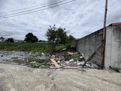 ขายที่ดินสวยซอยทุ่งเศรษฐี17 ใกล้Megaบางนา 45,000/วา (N.1006)-202407090937121720492632305.jpg