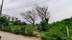 ขายที่ดินเปล่า ขนาด 1 ไร่ ซอยรามคำแหง 88 ใกล้สถานีMRTคลองบ้านม้า ถนนรามคำแหง สะพานสูง กทม.-202407131427151720855635218.jpg