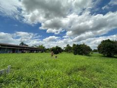 ขายที่ดินพร้อมสิ่งปลูกสร้าง 1-3-67.8 ไร่ ตำบลป่าขะ อำเภอบ้านนา จังหวัดนครนายก-202407181057201721275040312.jpg