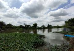 ขายที่ดิน หนองจอก ตรงข้ามบางกอกอารีน่า ติดถนนเชื่อมสัมพันธ์ แขวงโคกแฝด เขตหนองจอก กรุงเทพมหานคร-202407181342401721284960629.jpg