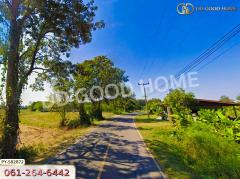 ที่ดิน ต.แสลงพันธ์ 2 ไร่ 266 ตร.ว. สุรินทร์-202407181647411721296061626.jpg