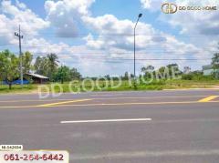 ที่ดิน อ.บ้านกรวด 7 ไร่ 86.4 ตร.ว. บุรีรัมย์-202407191514331721376873338.jpg