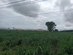 ขายที่ดินระยอง ปลวกแดง 169 ไร่ ใกล้ห้าง CK Plaza-202407221122061721622126739.jpg