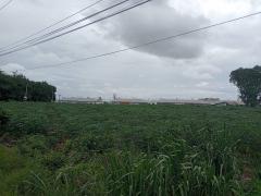 ขายที่ดินระยอง ปลวกแดง 169 ไร่ ใกล้ห้าง CK Plaza-202407221122151721622135118.jpg