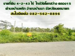 ขายที่ดิน 4-2-43 ไร่ ใกล้วัดโคกสว่าง คลอง15 ตำบลบ้านพริก อำเภอบ้านนา จังหวัดนครนายก