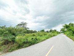 ขายที่ดิน 4-2-43 ไร่ ใกล้วัดโคกสว่าง คลอง15 ตำบลบ้านพริก อำเภอบ้านนา จังหวัดนครนายก-202407241424351721805875683.jpg