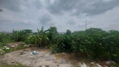 ขายที่ดิน 19-1-97  ไร่ ติดถนนกิ่งแก้ว สวยมาก (N.1208)-202407300955161722308116417.jpg