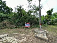 ขายถูก!ที่ดินจัดสรร หมู่บ้านสีวลี 1 คลองสอง  ถนนรังสิต-นครนายก ในโครงการ แลนด์ แอนด์ เฮ้าส์ #LB122 – 000807-202407301025541722309954470.jpg
