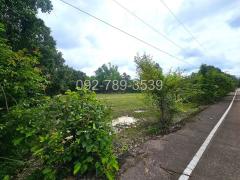 ขายที่ดินเรณูนคร นครพนม 4-2-20 ไร่ หน้าที่ดินติดถนนลาดยาง-202407301410441722323444987.jpg