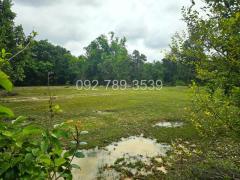 ขายที่ดินเรณูนคร นครพนม 4-2-20 ไร่ หน้าที่ดินติดถนนลาดยาง-202407301410461722323446479.jpg