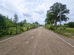 ขายที่ดินเรณูนคร นครพนม 4-2-20 ไร่ หน้าที่ดินติดถนนลาดยาง-202407301410471722323447918.jpg