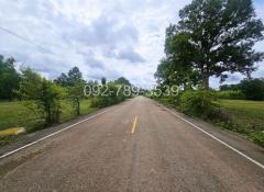ขายที่ดินเรณูนคร นครพนม 4-2-20 ไร่ หน้าที่ดินติดถนนลาดยาง-202407301410481722323448720.jpg