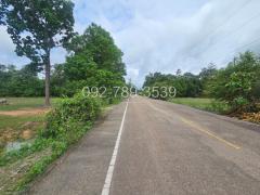 ขายที่ดินเรณูนคร นครพนม 4-2-20 ไร่ หน้าที่ดินติดถนนลาดยาง-202407301410501722323450178.jpg