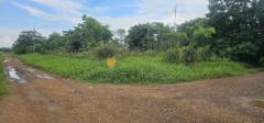 ขาย ที่ดิน สวนเกษตร 4 ไร่ 3 งาน 20 ตร.วา บึงคอไห ลำลูกกา ปทุมธานี-202407301635391722332139463.jpg