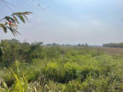 ขายที่ดิน 51-2-65.7 ไร่ ติดถนนดอยสะเก็ด ฝั่งขาเข้าเมือง เชียงใหม่-202408030202051722625325173.jpg