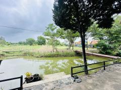 ขายถูก! ที่ดินพร้อมบ้านเรือนไทย หลังใหญ่   เนื้อที่รวม 7-3-70 ไร่ ต.หมอนนาง อ.พนัสนิคม จ.ชลบุรี -202408050514141722809654078.jpeg