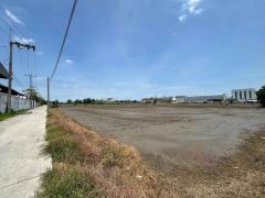 ขาย ที่ดิน บางนา ตราด กม 23 บางเสาธง ซ.TOA 33-1-79 ไร่ ผังสีม่วง จาก ถ.บางนาตราด เพียง 3กม-202408051712591722852779910.jpg