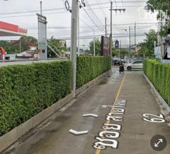 ขายที่ดิน สายไหม ลำลูกกา สุขาภิบาล5 กรุงเทพ 100 ตร.ว.