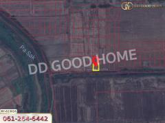 ที่ดิน บึงสามพัน 100 ตร.ว. เพชรบูรณ์-202408111706451723370805908.jpg