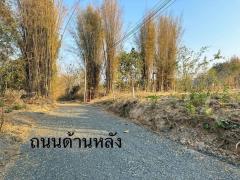 เจ้าของขายเอง ที่ดินแปลงเล็ก วิวภูเขาสวย ใกล้ตลาดสดริมเหนือและกาดฝรั่ง อ.แม่ริม เชียงใหม่-202408120631211723419081128.jpg