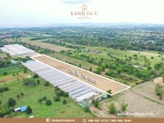 ขายที่ดินติดถนน ทำเลดี เห็นวิวเขา ใกล้ถนนหนองสาหร่าย คุณโอ๋ 098-097-8715 -202408131224181723526658976.jpg
