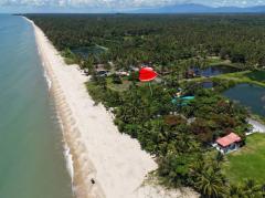 ขาย ที่ดิน ติดทะเล อ.ท่าศาลา นครศรีธรรมราชเนื้อที่ 3 งาน 52.1 ตร.วา เหมาะทำพลูวิลล่า รีสอร์ท โรงแรม คาเฟ่ร้านอาหาร-202408211459461724227186597.jpg