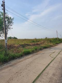 ขายที่ดินฉลองกรุงการ์เด้น (N.1298)-202408270523081724710988592.jpg