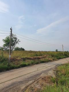 ขายที่ดินฉลองกรุงการ์เด้น (N.1298)-202408270523121724710992502.jpg