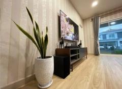 ให้เช่าบ้านเดี่ยวหมู่บ้านvillagioศรีนครินทรบางนา (N.1301)-202408270554031724712843860.jpg