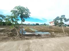 บ้านพร้อมที่ดิน ต.บางแม่นาง อ.บางใหญ่ จ.นนทบุรี-202408281038291724816309187.jpg