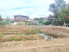 บ้านพร้อมที่ดิน ต.บางแม่นาง อ.บางใหญ่ จ.นนทบุรี-202408281038311724816311215.jpg
