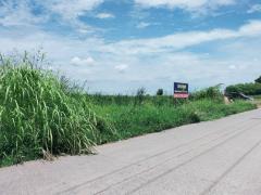 ขาย ที่ดินเปล่า 313 ตรว ซอยรังสิต-นครนายก 17 คลอง 1 ธัญบุรี ปทุมธานี ใกล้ ฟิวเจอร์พาร์ครังสิต-202408291107571724904477839.jpg