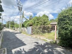ขายที่ดินคลองลำเจียก 29 เนื้อที่ 100 ตร.ว  ที่ดินสวยถมแล้ว ขายราคาถูก -202409020928371725244117364.jpg