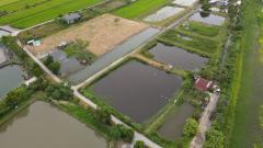 80103-1 - ขายที่ดินเปล่า 2 ไร่ ต.บางกะไห อ.เมือง จ.ฉะเชิงเทรา-202409031533521725352432566.jpg