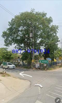 ขายที่ดินบางกรวย นนทบุรี 796 ตรว. ขายวาละ 19,000 บาท-202409061113451725596025281.jpg