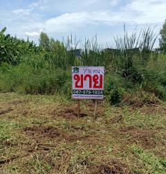 ขายที่ดินบางกรวย นนทบุรี 796 ตรว. ขายวาละ 19,000 บาท-202409061114151725596055206.jpg