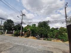 ขาย ที่ดิน แปลงสวย ที่ดิน ศรีด่าน 22 1 งาน 51 ตรว ติดถนน คอนกรีต-202409100003101725901390251.jpg