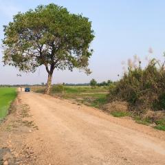 ขายที่ดินถมแล้ว คลองแปด หนองเสือ ฝั่งตะวันออก จ.ปทุมธานี คุณโอ๋ 098-097-8715-202409101000121725937212338.jpg