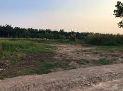 ขายที่ดินถมแล้ว คลองแปด หนองเสือ ฝั่งตะวันออก จ.ปทุมธานี คุณโอ๋ 098-097-8715-202409101000131725937213135.jpg