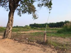 ขายที่ดินถมแล้ว คลองแปด หนองเสือ ฝั่งตะวันออก จ.ปทุมธานี คุณโอ๋ 098-097-8715-202409101000141725937214699.jpg