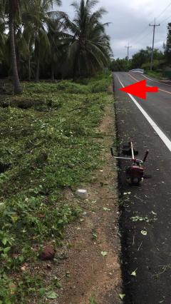 ขายที่ดินสวนมะพร้าวติดถนน ด้านหลังติดคลองมอบลัด จ.สมุทรสงคราม คุณโอ๋ 098-097-8715-202409101021151725938475116.jpg