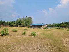 ขายที่ดินพนัสนิคม ใกล้ถนนทางหลวง 331 เพียง 2 กม. จ.ชลบุรี คุณโอ๋ 098-097-8715-202409101403461725951826682.jpg