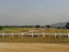 ขายที่ดินเขาใหญ่ ปากช่อง ล้อมรั้วคาบอยแล้ว ใกล้ 7-Eleven เพียง 4 กม. จ.นครราชสีมา คุณโอ๋ 098-097-8715-202409111058501726027130172.jpg