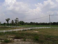 ขายที่ดินเขาใหญ่ ปากช่อง ล้อมรั้วคาบอยแล้ว ใกล้ 7-Eleven เพียง 4 กม. จ.นครราชสีมา คุณโอ๋ 098-097-8715-202409111058531726027133018.jpg