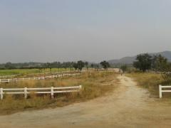 ขายที่ดินเขาใหญ่ ปากช่อง ล้อมรั้วคาบอยแล้ว ใกล้ 7-Eleven เพียง 4 กม. จ.นครราชสีมา คุณโอ๋ 098-097-8715-202409111058531726027133715.jpg